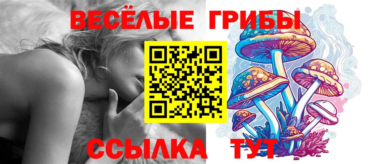 Галлюциногенные грибы Cubensis  Вход с VPN  Королёв 